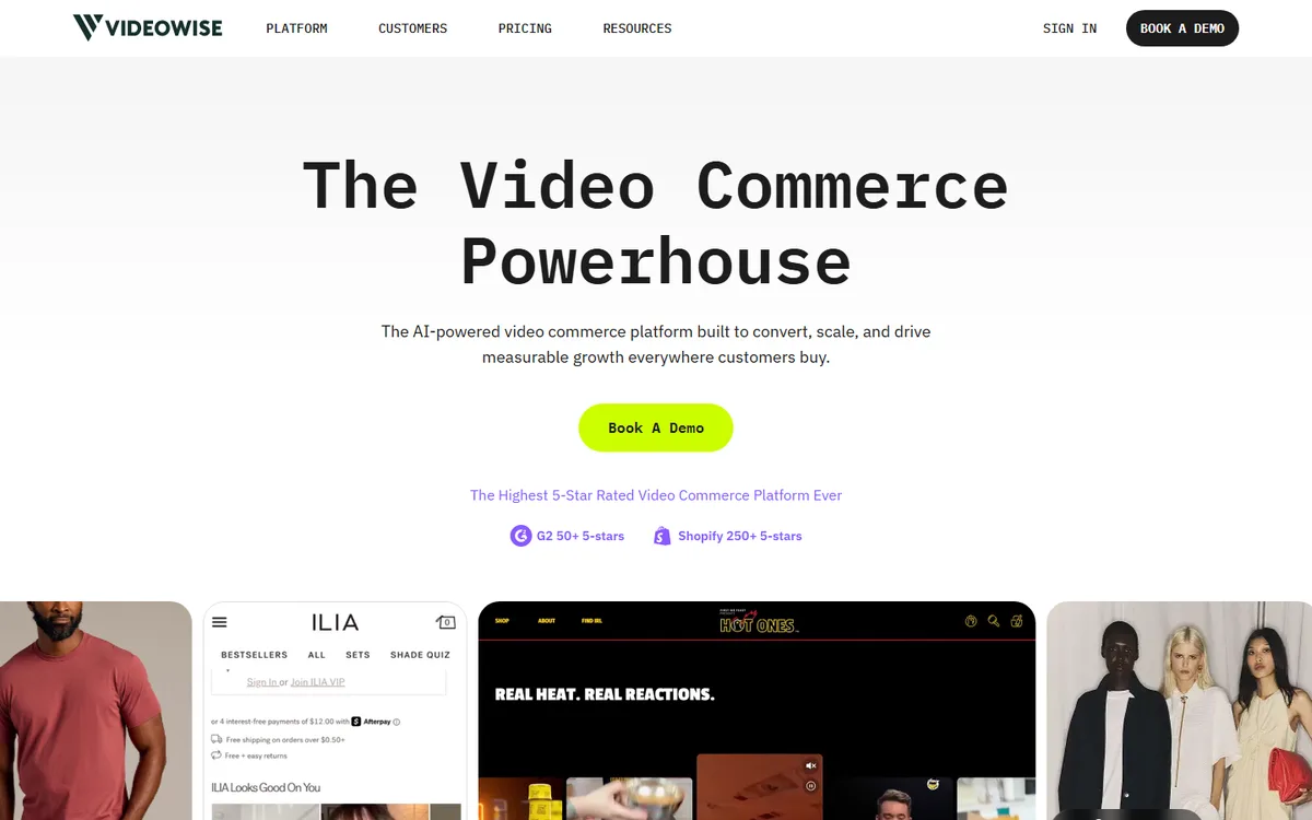 Videowise official website first-screen screenshot, captured September 5, 2026.